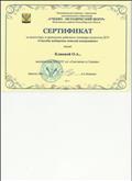 Сертификат за подготовку и проведение районного семинара педагогов ДОУ "Способы поддержки детской инициативы". Сертификат за подготовку и проведение районного семинара педагогов ДОУ "Способы поддержки детской инициативы".